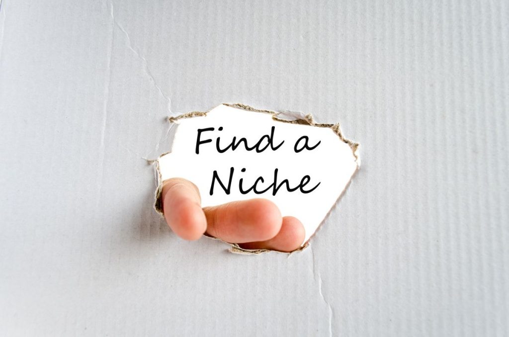 Find a Niche