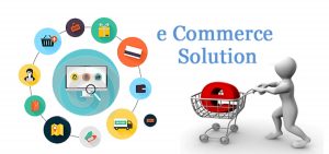 Customization; the Ultimate solution for the development of E-commerce