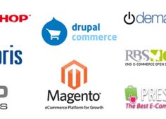 E-commerce Software Market