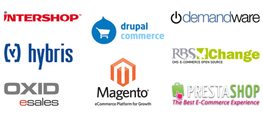 E-commerce Software Market