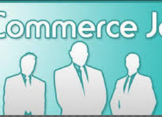 Finding an e-commerce job