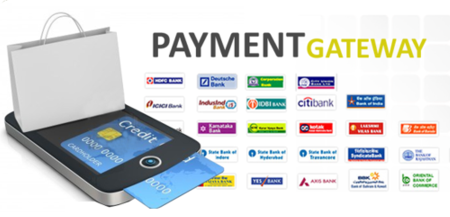 Starting a payment gateway company